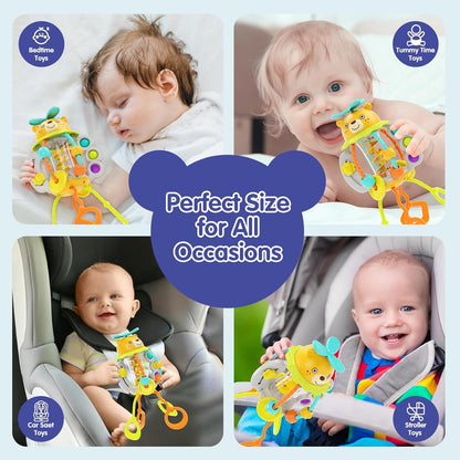 Shake and Pull Busy Activity Ball for Babies (6 Months+)