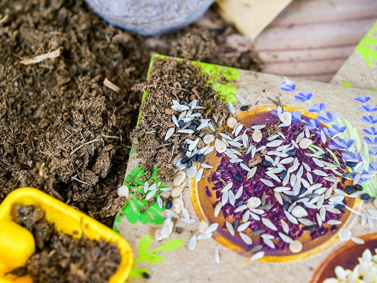 Clementoni - Science & Play, Greenhouse