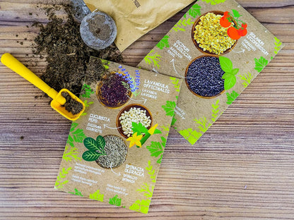 Clementoni - Science & Play, Greenhouse